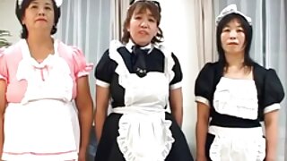 მსხვილ ქერა ძუ მერი  ...