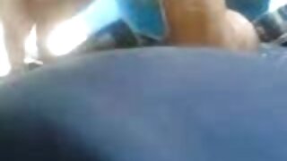 მძარცველი თეთრი მეძა ...